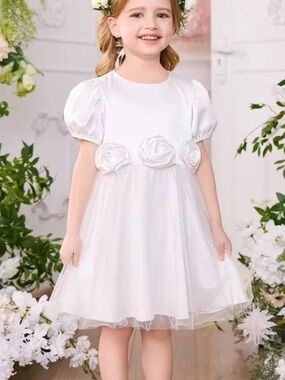 SHEIN White Flower Applique Puff Sleeve Tulle Dress for Girls